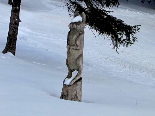 Belchen im Schwarzwald