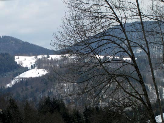 Belchen im Schwarzwald