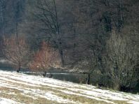 Belchen und Schwarzwald
