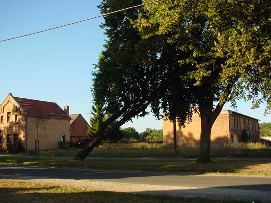 Buchholz