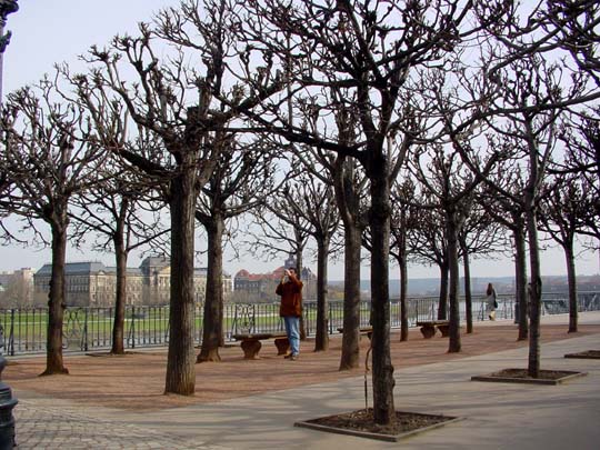 Dresden