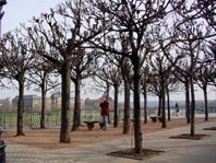 Dresden
