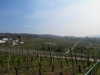 Ötlingen, März 2015