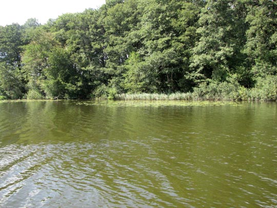 Von der Schmölde nach Teupitz, August 2012