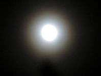 Mond