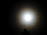 Mond