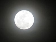 Mond