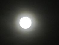 Mond