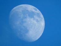 Mond