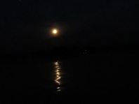 Mond