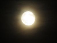 Mond