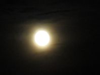 Mond
