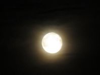 Mond