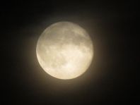 Mond