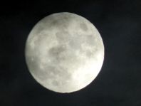 Mond