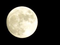 Mond