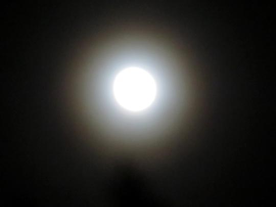 Mond