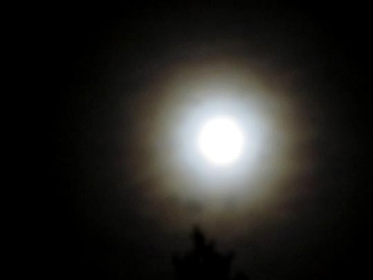 Mond
