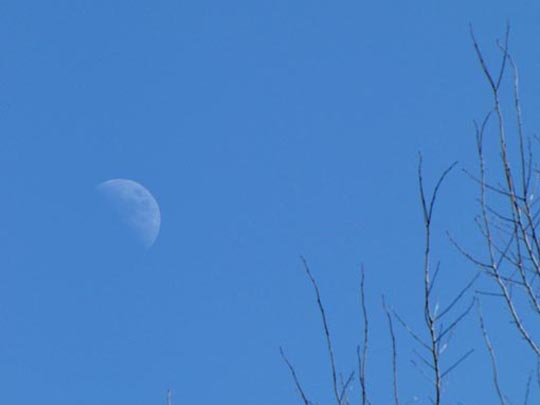 Mond