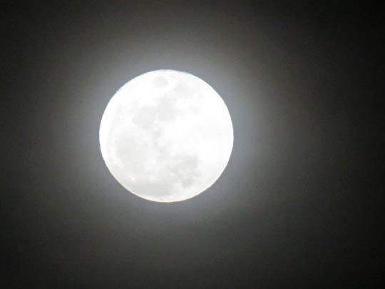 Mond