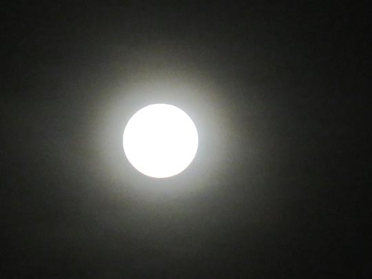 Mond