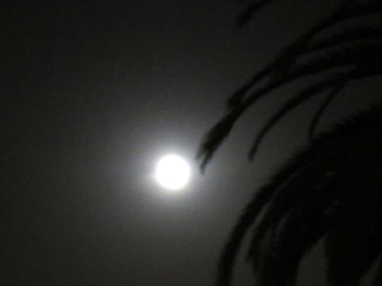 Mond