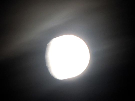 Mond