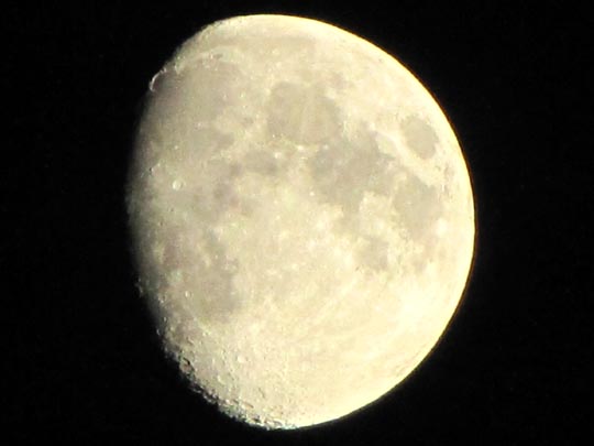 Mond