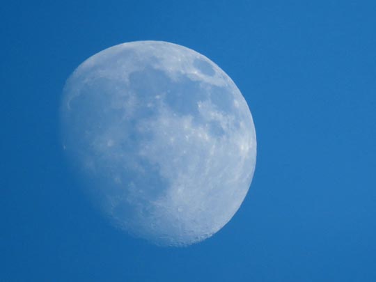Mond