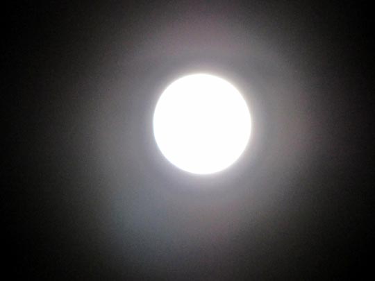 Mond