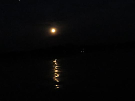 Mond