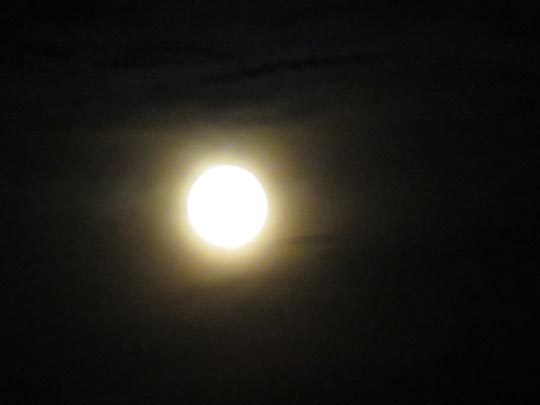 Mond