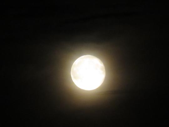 Mond