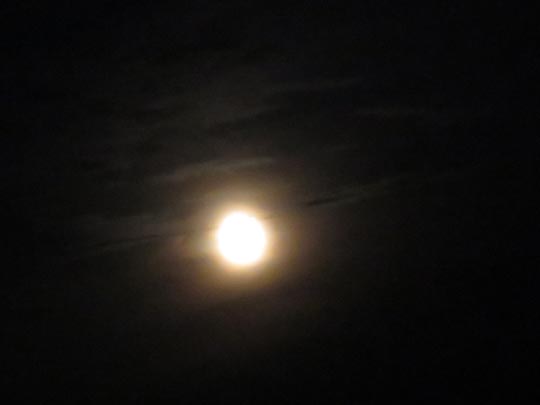 Mond