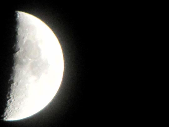 Mond