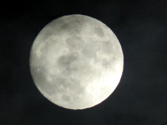 Mond
