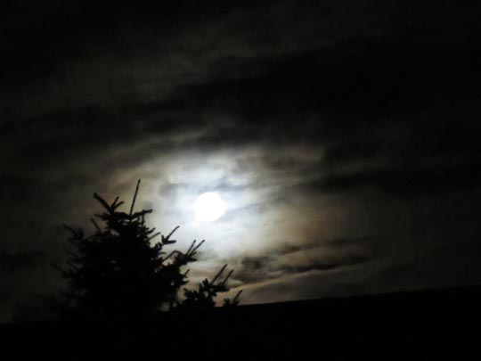 Mond