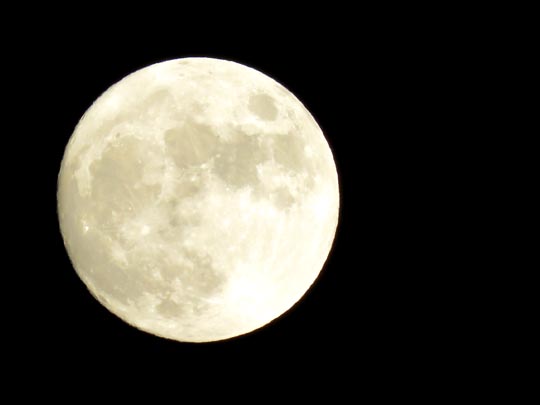 Mond