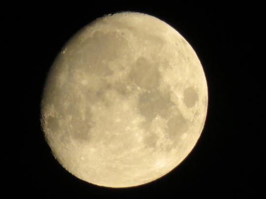Mond