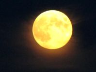 Mond
