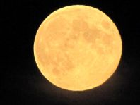 Mond