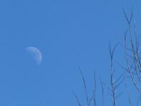 Mond