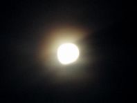 Mond