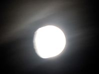 Mond
