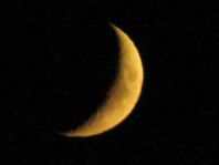 Mond