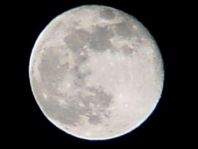 Mond