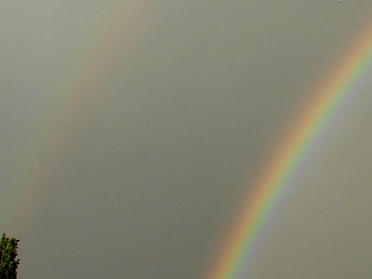 Regenbogen