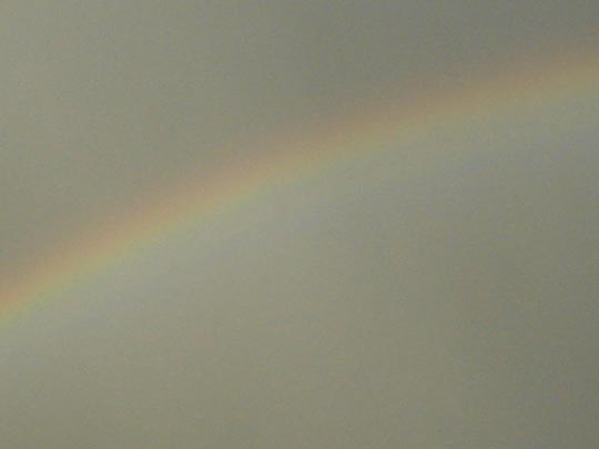 Regenbogen
