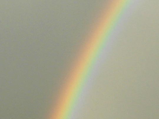 Regenbogen