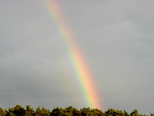 Regenbogen